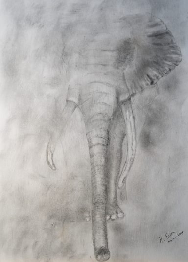 Tekeningen van een olifant, gedeeltelijk verborgen in een nevelige achtergrond.