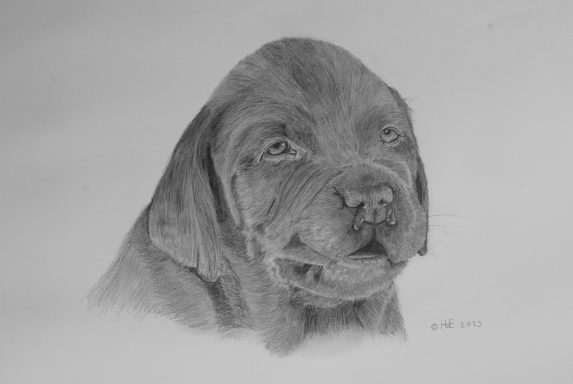 Een schattige, realistische potloodtekening van een puppy met een zachte uitstraling.