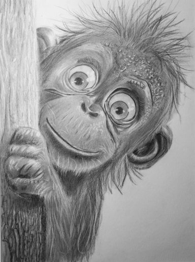 Kiekeboe Een schattige aap kijkt nieuwsgierig achter een boomstam.