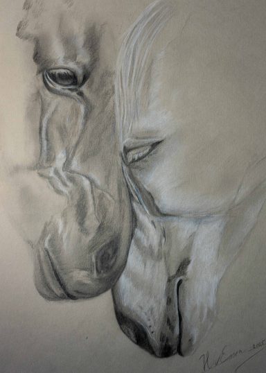 Love Twee paardenkoppen in zacht grijs- en crèmekleurige potloodtekening.