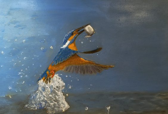 Visser met felblauwe en oranje veren vangt een vis uit het water.